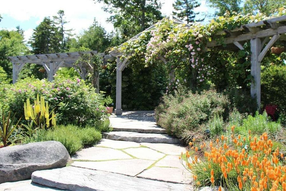 A wide stone walkway surrounded by lush plants, flowers and trees in a botanical garden with wood arbors