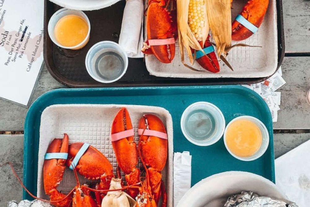 Two trays on a picnic table full of freshly prepared crabs ready to eat with drawn butter and corn on the cob