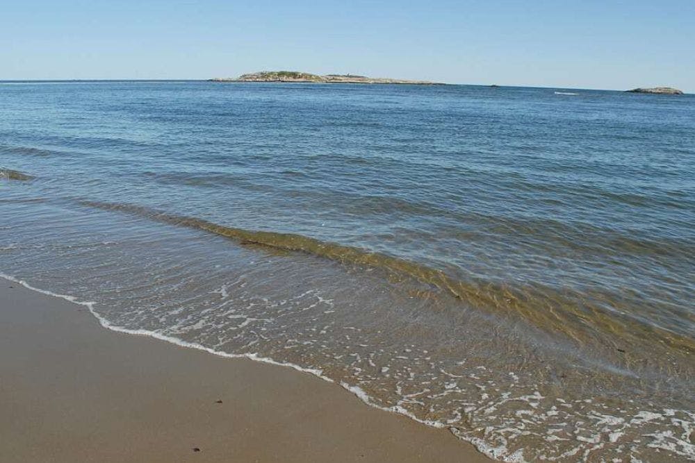 An expansive shoreline with gentle waves in the water and blue skies above